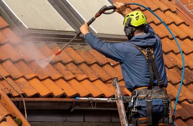 Démoussage et hydrofuge de toiture à Puyrolland